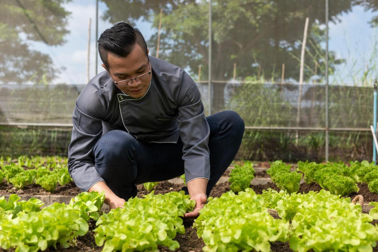 Moevenpick Resort Khao Yai Ban Wang Sai Eksteriør billede