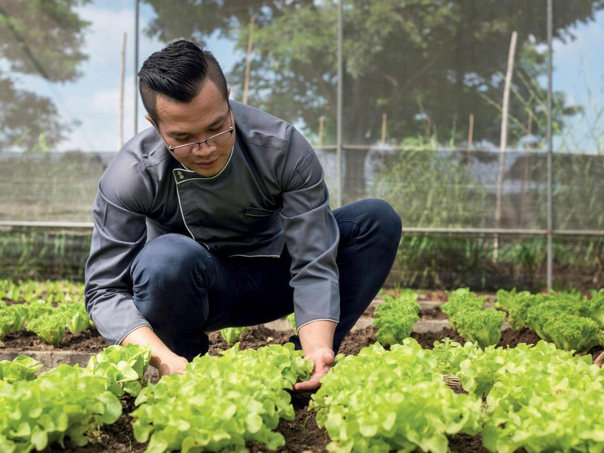 Moevenpick Resort Khao Yai Ban Wang Sai Eksteriør billede